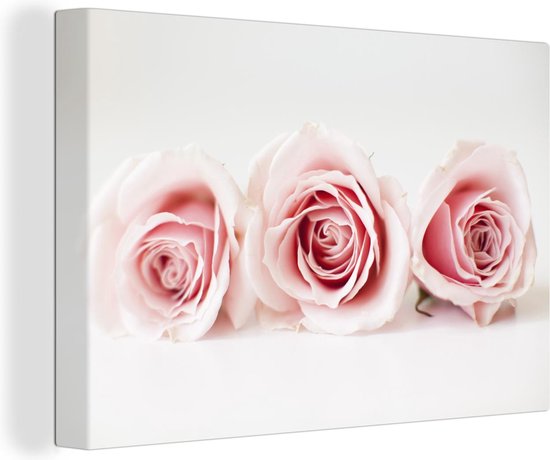 Canvas Schilderij Studioshot van drie roze rozen naast elkaar - 30x20 cm - Wanddecoratie