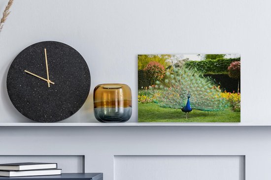 Paon aux plumes étalées dans un jardin Toile 30x20 cm - petit - Tirage photo sur toile (Décoration murale salon / chambre)
