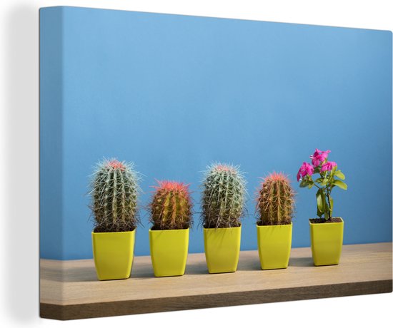 Canvas Schilderij Bloem naast cactussen - 90x60 cm - Wanddecoratie