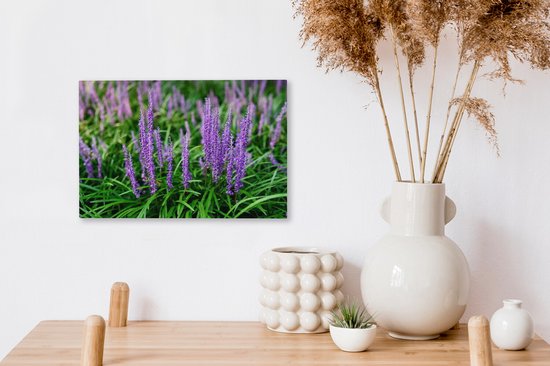 Gros plan herbe ornementale violette 30x20 cm - petit - Tirage photo sur toile (Décoration murale salon / chambre) / Peintures sur toile Fleurs