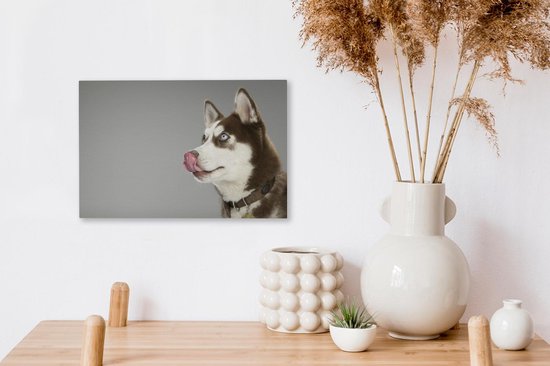 Husky lèche le nez sur toile 2cm 30x20 cm - petit - Tirage photo sur toile (Décoration murale salon / chambre) / animaux sauvages Peintures sur toile