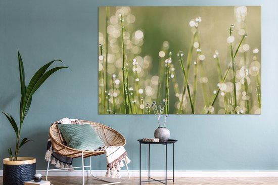 Canvas schilderij 150x100 cm - Wanddecoratie Vroege dauw op grassprieten - Muurdecoratie woonkamer - Slaapkamer decoratie - Kamer accessoires - Schilderijen