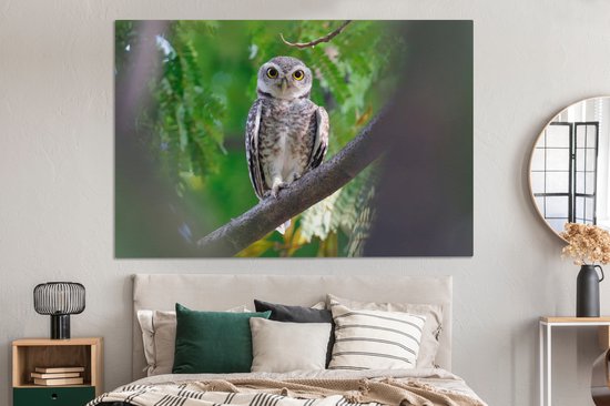 Owl assis sur la branche toile 2cm 150x100 cm - impression photo sur toile peinture (Décoration murale salon / chambre à coucher) / Animaux sauvages Peintures Toile