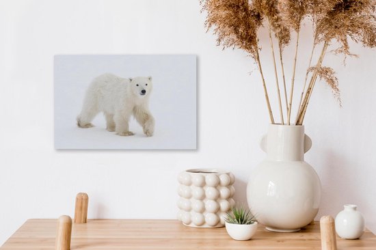 Toile Peinture Ours Polaire - Neige - Wit - 30x20 cm - Décoration murale