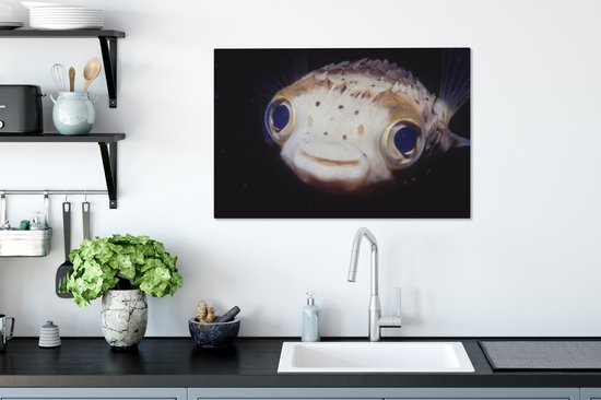 Gros plan poisson-globe 60x40 cm - Tirage photo sur toile (Décoration murale salon / chambre) / Peintures sur toile animaux sauvages
