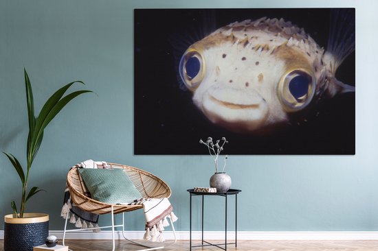 Gros plan poisson-globe 180x120 cm - Tirage photo sur Toile (Décoration murale salon / chambre) / Animaux sauvages Peintures sur toile XXL / Groot format!