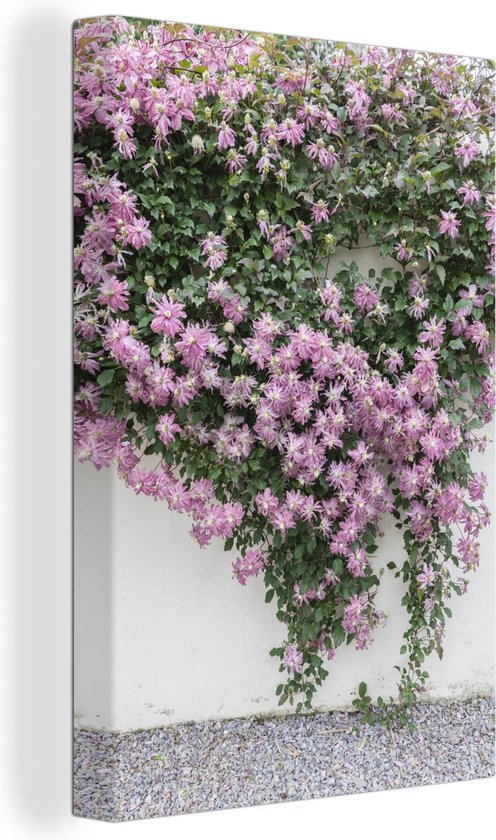 Plante grimpante aux fleurs roses 80x120 cm - Tirage photo sur toile (Décoration murale salon / chambre) / Peintures Fleurs sur toile