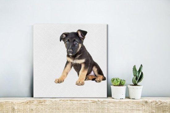 Assis sur toile de chiot berger allemand 2cm 20x20 cm - petit - Tirage photo sur toile (Décoration murale salon / chambre) / Peintures sur toile pour Animaux domestiques