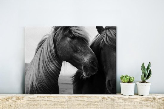 Gros plan de deux chevaux (noir et blanc) sur toile 2cm 40x30 cm - petit - Tirage photo sur toile (Décoration murale salon / chambre) / Animaux sauvages Peintures sur toile