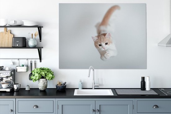 Peintures sur toile - Chaton sautant - 120x90 cm - Décoration murale