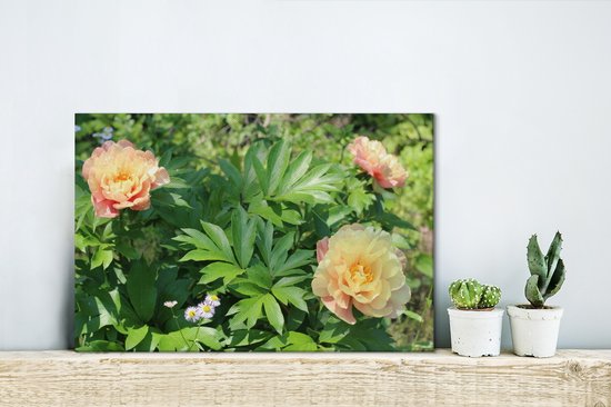 Toile fleur de pivoine 2cm 30x20 cm - petit - Tirage photo sur toile (Décoration murale salon / chambre) / Peintures sur toile Fleurs