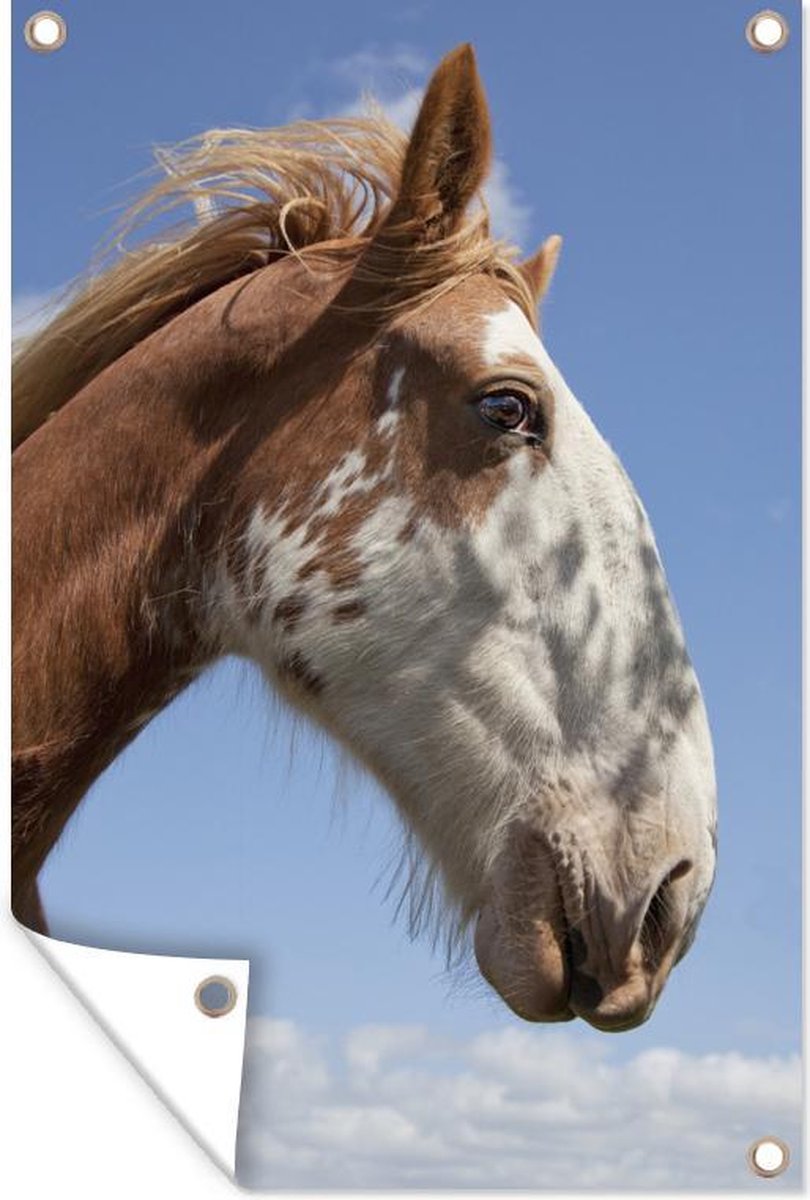 Tuindecoratie Clydesdale - Bruin - Paarden - 40x60 cm - Tuinposter - Tuindoek - GreatGardenPosters
