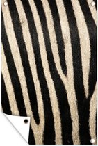 Tuindecoratie Dieren - Zebra - Patroon - 40x60 cm - Tuinposter - Tuindoek - Buitenposter