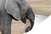 Tuindecoratie Close-up van een olifant met open bek - 60x40 cm - Tuinposter - Tuindoek - Buitenposter