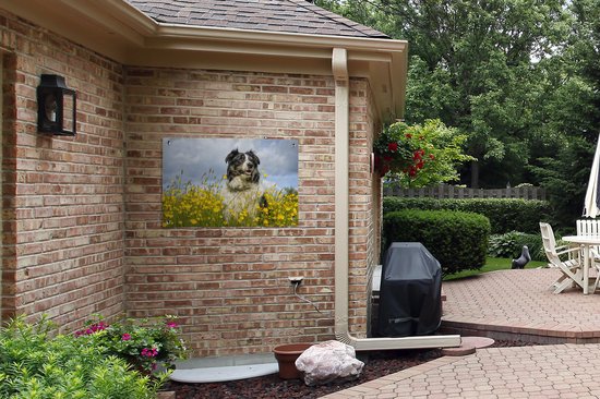 Border Collie parmi les belles fleurs jaunes affiche de jardin 90x60 cm - Toile de jardin / Toile d'extérieur / Peintures pour l'extérieur (décoration de jardin)
