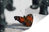 Muurdecoratie Dagpauwoog vlinder op de grond - 180x120 cm - Tuinposter - Tuindoek - Buitenposter
