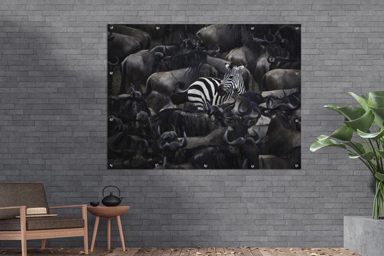 Gros plan d'un zèbre parmi les animaux sauvages 160x120 cm XXL / Groot format!