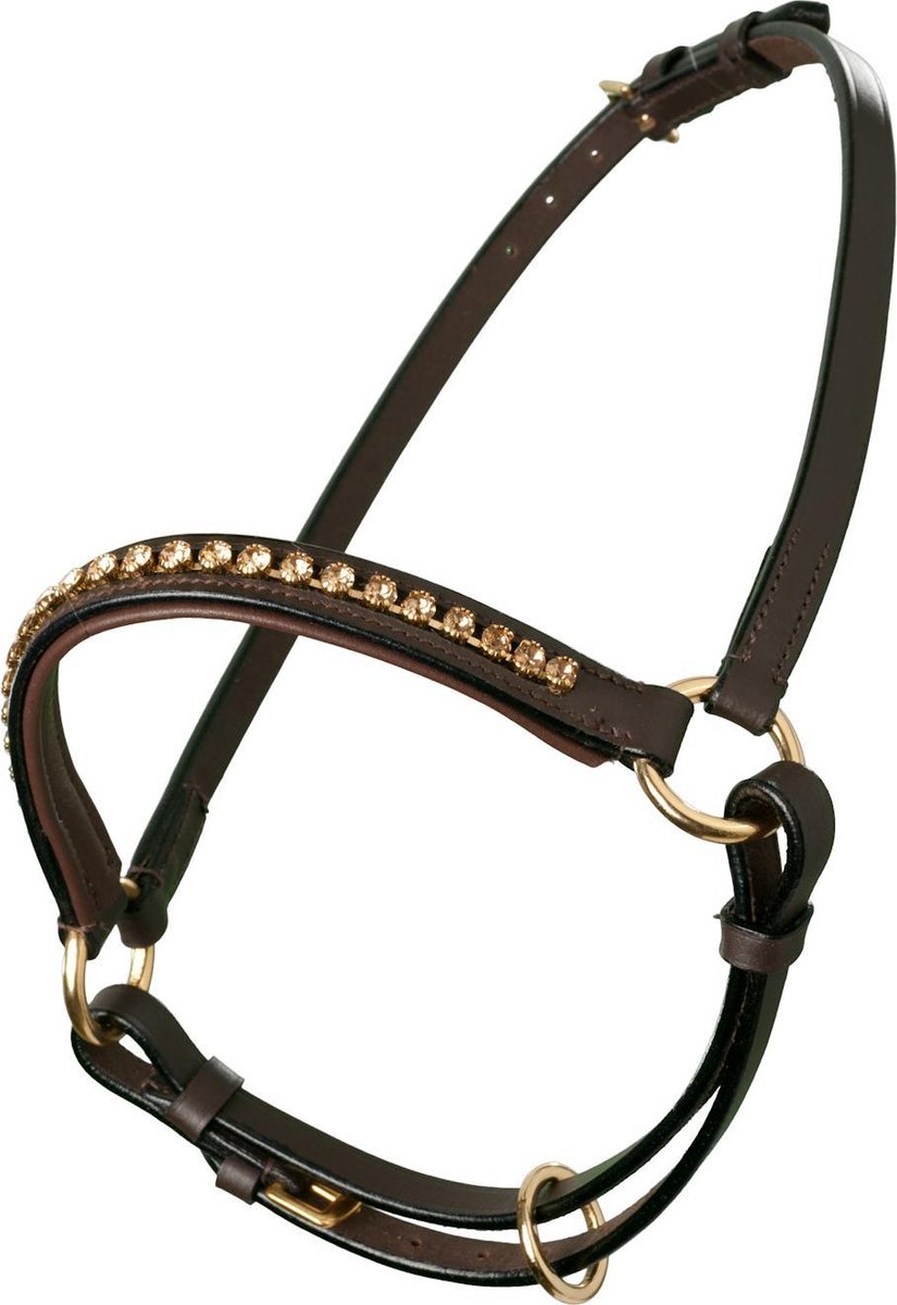 MHS Showhalster Mon Cherie Bruin/Goud mini veulen (mt 1)