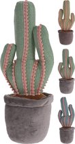 Deurstopper cactus (1 stuk) assorti