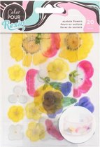 Color Pour Acetaat Bloemen 20 stuks