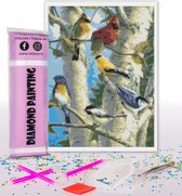 Compleet Full Diamond Painting voor volwassenen en kinderen - Gekleurde vogels - 30x40cm volledig pakket met accessoires - Cadeau tip