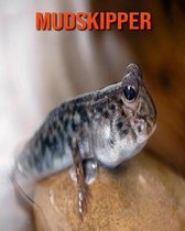 Mudskipper