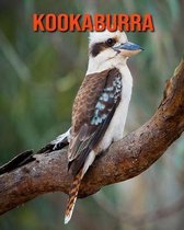 Kookaburra