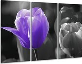 Peinture sur toile Tulipe | Violet, gris, noir | 120x80cm 3 Liège