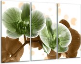 GroepArt - Schilderij -  Orchidee - Groen, Bruin - 120x80cm 3Luik - 6000+ Schilderijen 0p Canvas Art Collectie