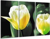 GroepArt - Schilderij -  Tulp - Geel, Groen, Wit - 120x80cm 3Luik - 6000+ Schilderijen 0p Canvas Art Collectie