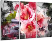 Peinture sur toile Fleur | Rouge, blanc, gris | 120x80cm 3 Liège