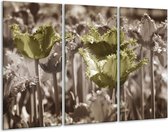 GroepArt - Schilderij -  Tulpen - Groen, Bruin - 120x80cm 3Luik - 6000+ Schilderijen 0p Canvas Art Collectie