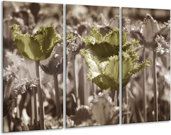 Peinture sur toile Tulipes | Vert, marron | 120x80cm 3 Liège