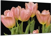 Schilderij Op Canvas Tulpen - Roze, Groen, Zwart - 120x70cm 1Luik - Foto Op Canvas - GroepArt 6000+ Schilderijen 0p Canvas Art Collectie - Wanddecoratie - Woonkamer - Slaapkamer - Canvas Print