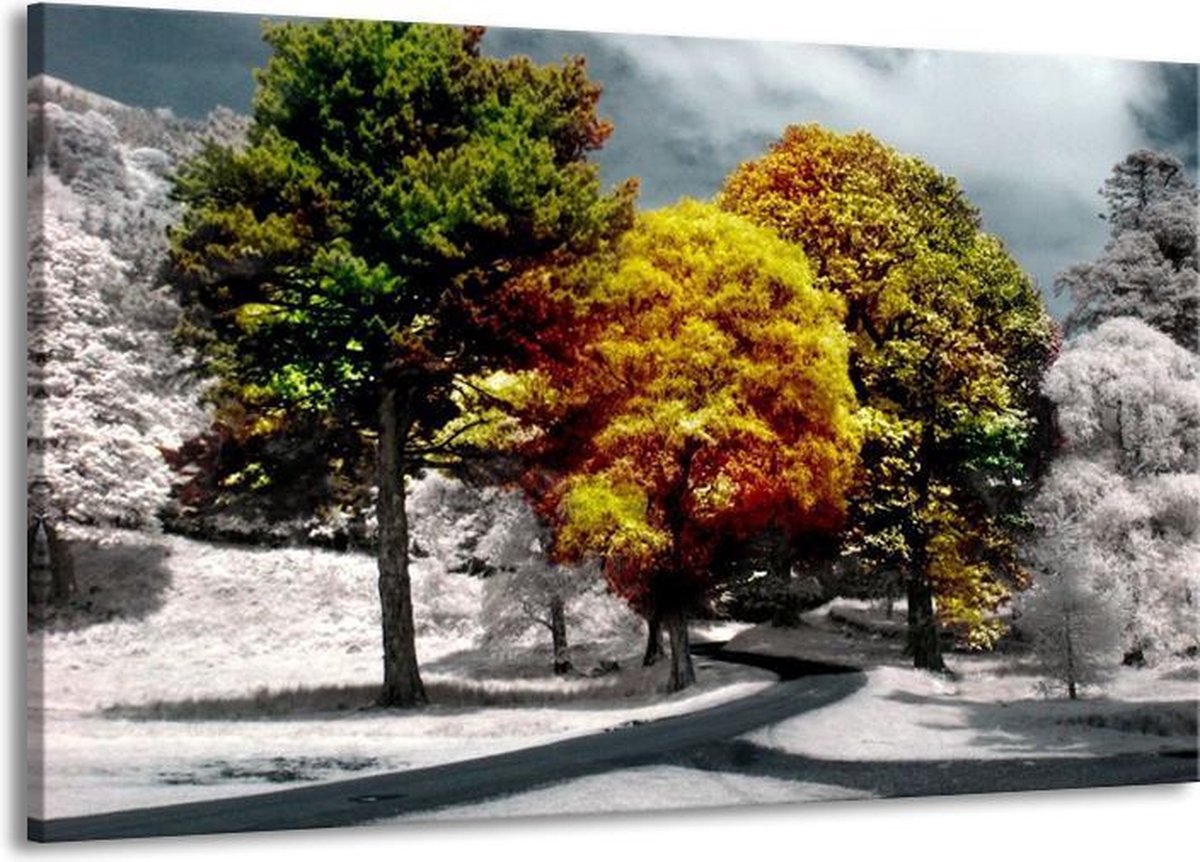 Schilderij Op Canvas - Groot - Boom - Groen, Geel, Wit - 140x90cm 1Luik - GroepArt 6000+ S