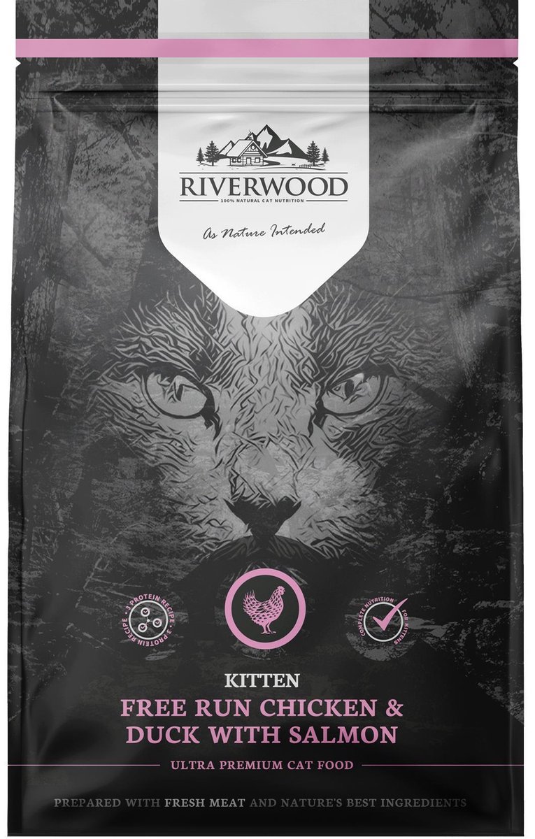 Riverwood Kitten