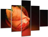 Glasschilderij -  Roos - Oranje, Zwart, Groen - 100x70cm 5Luik - Geen Acrylglas Schilderij - GroepArt 6000+ Glasschilderijen Collectie - Wanddecoratie- Foto Op Glas