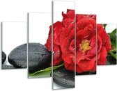 Peinture sur verre rose | Rouge, noir, blanc | 100x70cm 5Liège | Tirage photo sur verre |  F005790