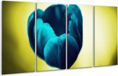 GroepArt - Glasschilderij - Tulp - Blauw, Zwart, Groen - 160x80cm 4Luik - Foto Op Glas - Geen Acrylglas Schilderij - 6000+ Glasschilderijen Collectie - Wanddecoratie