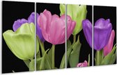 GroepArt - Glasschilderij - Tulpen - Paars, Groen, Roze - 160x80cm 4Luik - Foto Op Glas - Geen Acrylglas Schilderij - 6000+ Glasschilderijen Collectie - Wanddecoratie