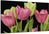 Glasschilderij Tulpen - Roze, Groen, Zwart - 120x70cm 1Luik - Foto Op Glas - Geen Acrylglas Schilderij - GroepArt 6000+ Glasschilderijen Art Collectie - Wanddecoratie - Woonkamer - Slaapkamer
