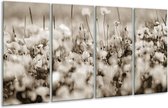 GroepArt - Glasschilderij - Bloemen - Sepia - 160x80cm 4Luik - Foto Op Glas - Geen Acrylglas Schilderij - 6000+ Glasschilderijen Collectie - Wanddecoratie