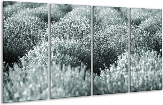 GroepArt - Glasschilderij - Bloemen - Grijs, Groen - 160x80cm 4Luik - Foto Op Glas - Geen Acrylglas Schilderij - 6000+ Glasschilderijen Collectie - Wanddecoratie