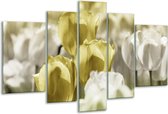 Glasschilderij Tulp - Groen, Grijs - 170x100cm 5Luik - Foto Op Glas - Geen Acrylglas Schilderij - 6000+ Glasschilderijen Collectie - Wanddecoratie