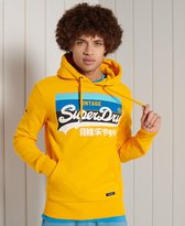 Superdry Heren Trui Vintage Logo Cali hoodie met strepen