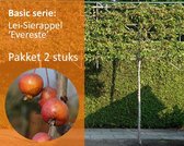 Lei-Sierappel 'Evereste' - Basic - pakket 2 stuks + EXTRA'S!