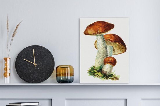 Peinture sur toile Champignons - Illustration - Rouge - Wit - 30x40 cm - Décoration murale