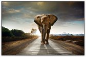 Olifant op weg - Foto op Akoestisch paneel - 225 x 150 cm