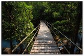 Brug door de Jungle - Foto op Akoestisch paneel - 225 x 150 cm