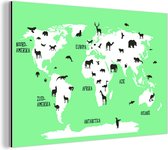 Wereldkaart avec fond vert menthe et animaux Aluminium 90x60 cm